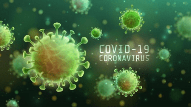 Pandemi COVID-19
